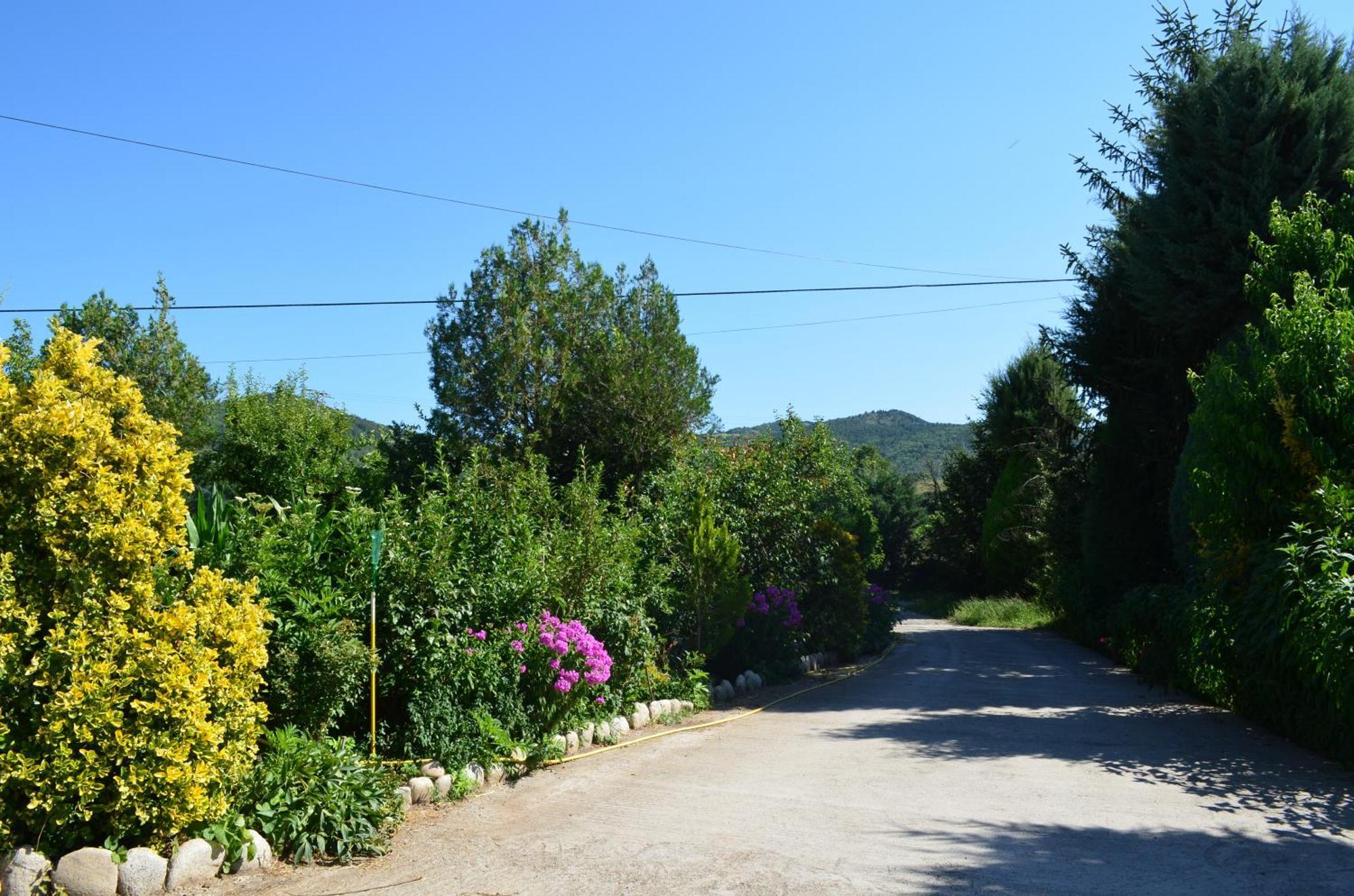 Casa Rural La Vall Del Cadi ลาเซวดูร์เชย์ ภายนอก รูปภาพ